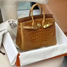 Super Hermes HERMES Birkin 25CM S5 Rouge Tomate Alligator GHW Full